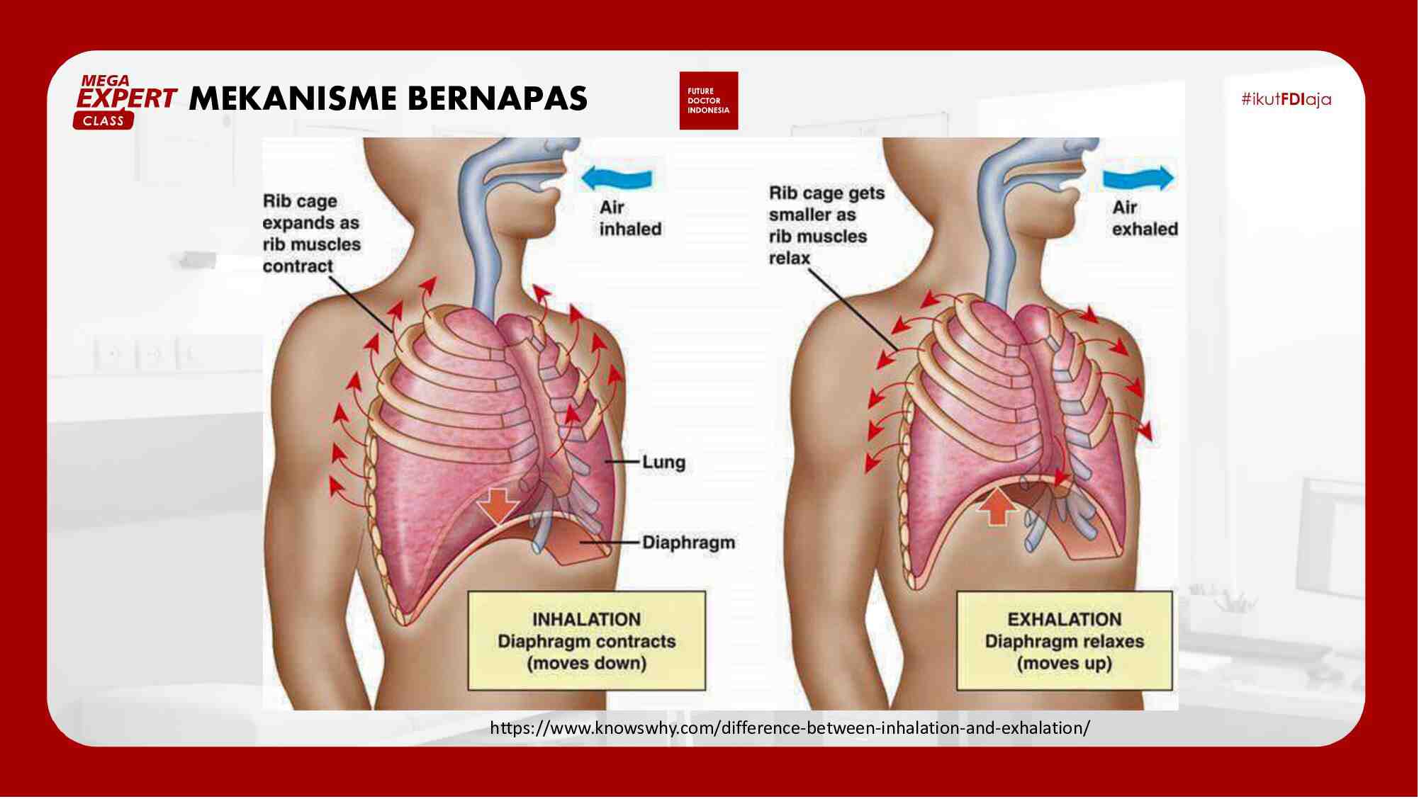 [day-2]-sesak-nafas-di-igd-dan-bagaimana-tatalaksananya-759